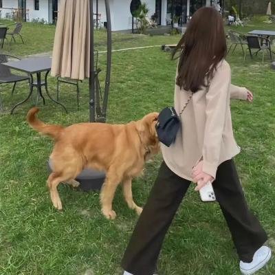 彩凤云裳